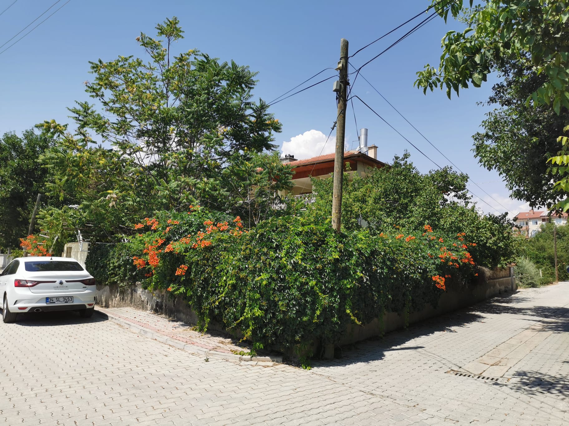 KOZAAĞAÇTA 436m2 2 KATLI BAHÇELİ MÜSTAKİL EV